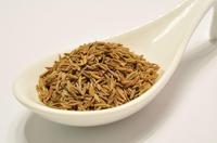 KMÍN ŘÍMSKÝ CELÝ (cumin) 550g - dóza